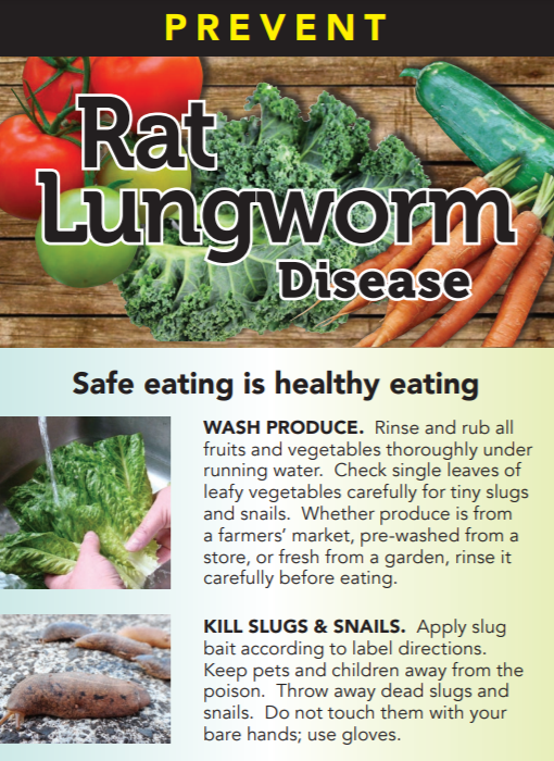 Rat Lungworm Disease Poster Thumbnail