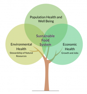 Healthy Food Systems Graphic
