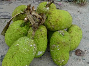 Second Breadfruit
