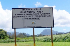 akk-8-011-4-banana-quarantine-sign_2889-2_5671050774_o