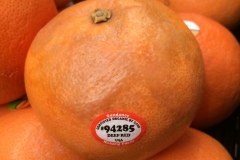 stem-end-rot-of-grapefruit_14792082473_o