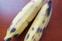 banana-anthracnose_43504929502_o