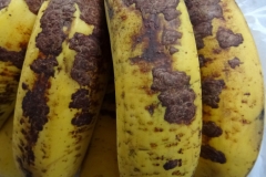 brown-corky-scab-of-banana-fruits_15568747708_o