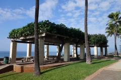 at-a-park-in-honolulu_11696329433_o