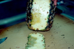 pineapple-fruit-rot_12071477303_o