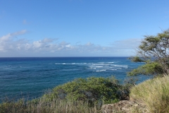 view-from-lower-slope-of-diamond-head-oahu_29275403103_o