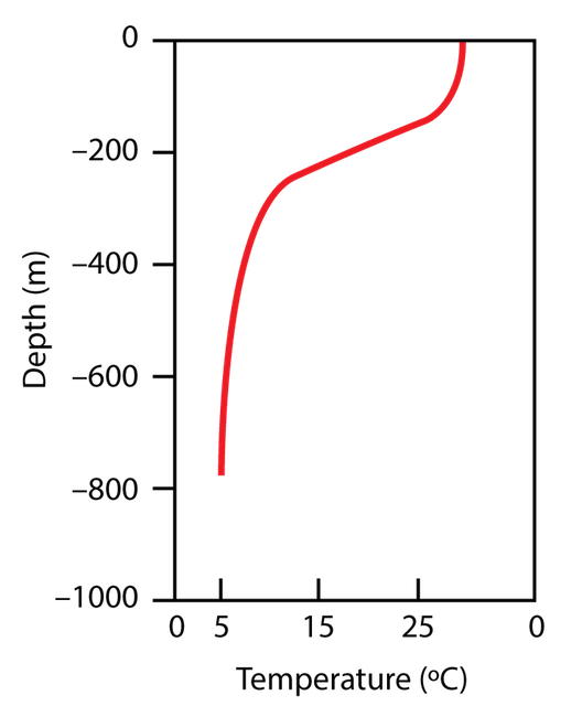 Temperature according to ocean
depth