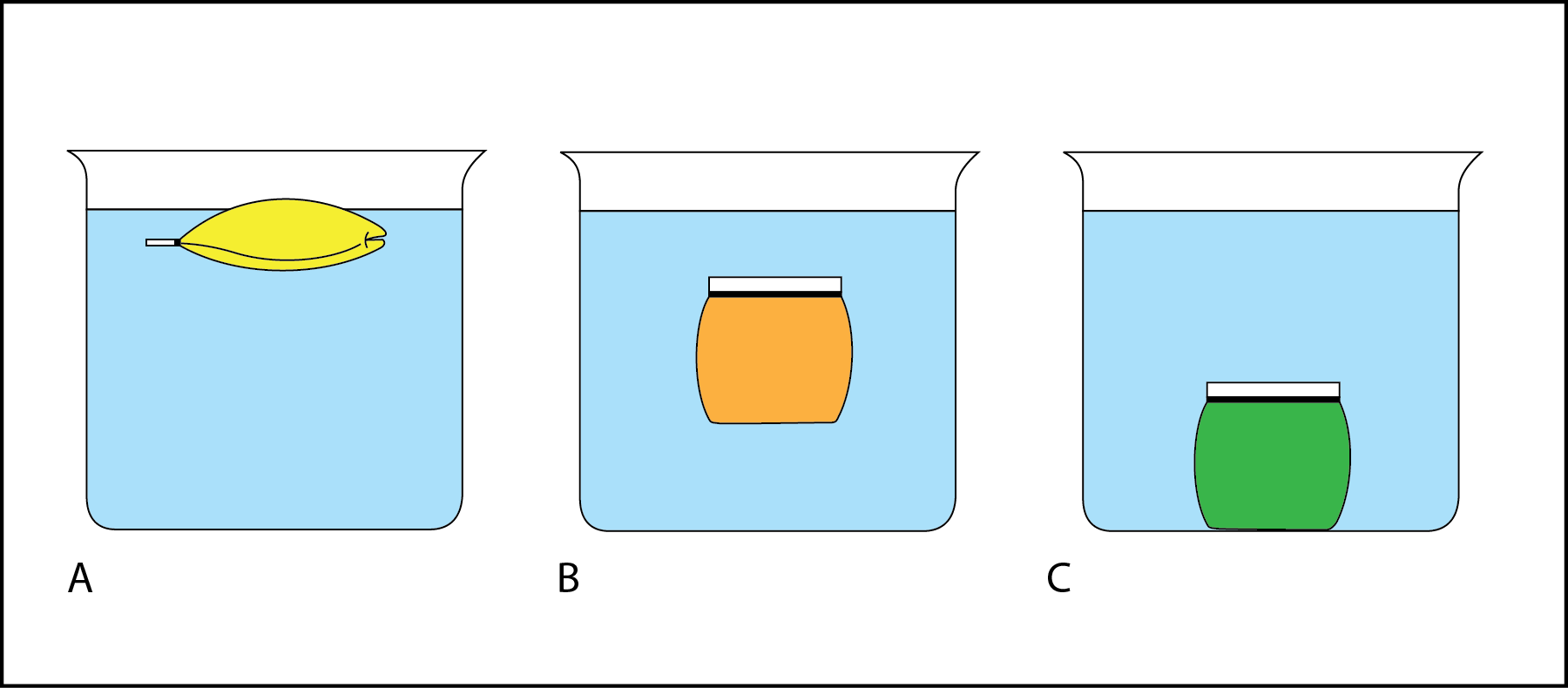 <p><strong>Fig. 2.3. </strong>(<strong>A</strong>) The bag filled with yellow liquid is floating on the surface. (<strong>B</strong>) The bag filled with orange liquid is floating in mid-water (subsurface floating). (<strong>C</strong>) The bag filled with green liquid has sunk to the bottom of the beaker.</p>