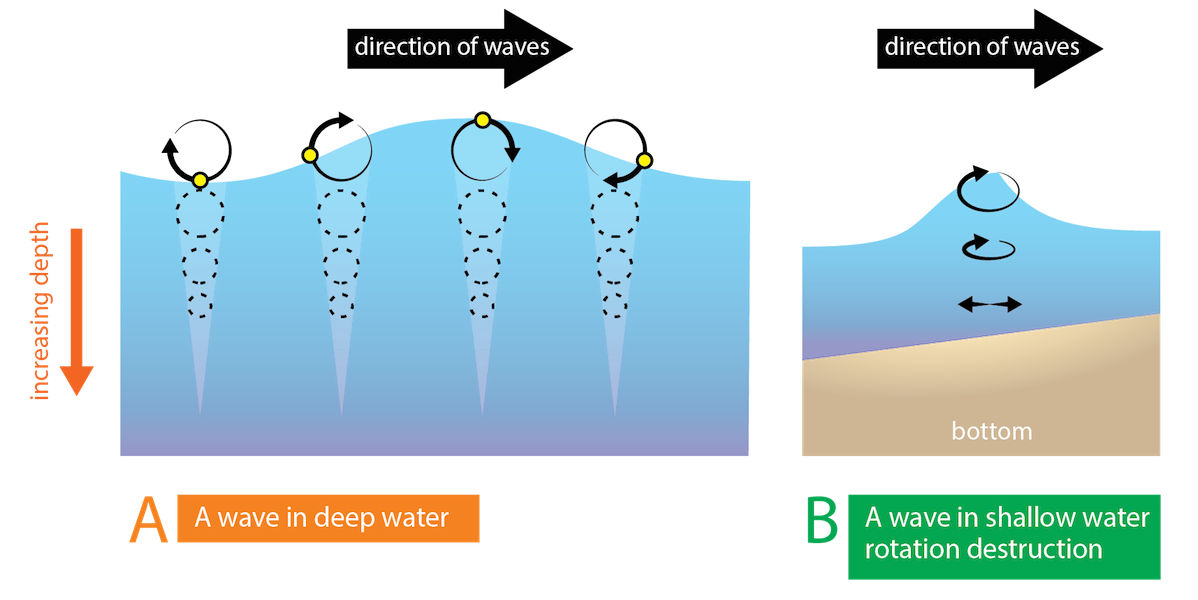 Wave Energy and Wave Changes with Depth   /ExploringOurFluidEarth