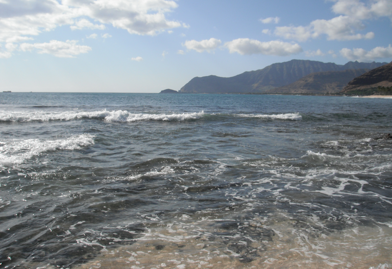 <p><strong>Fig. 6.1.</strong> (<strong>A</strong>) High tide at&nbsp;Ma‘ili Point on the island of O‘ahu, Hawai‘i</p>