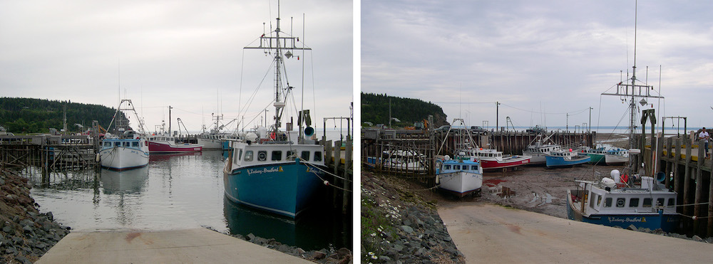 <p><strong>SF Fig. 6.14.</strong> (<strong>A</strong>) Difference between high and low tides in the Bay of Fundy</p>