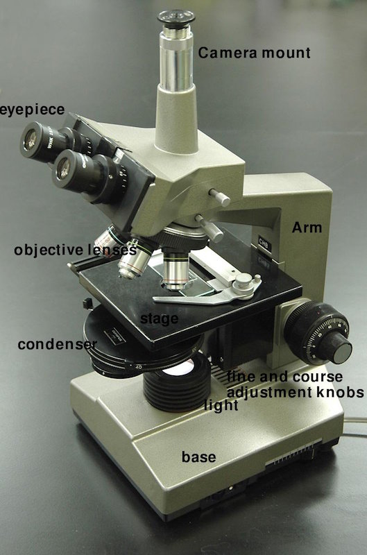 <p><strong>SF Fig. 2.2.</strong> (<strong>A</strong>) Light microscope</p>