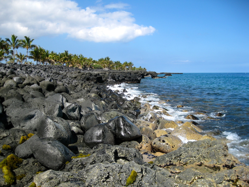 <p><strong>SF Fig. 3.5.</strong> (<strong>D</strong>) Typical&nbsp;<em>ʻ</em><em>opihi</em> habitat, Kaʻūpūlehu, Island of Hawaiʻi</p>