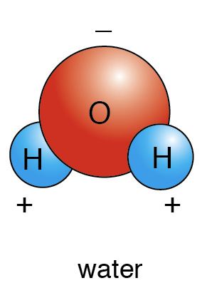 Comparison of Water with Other Liquids  / ExploringOurFluidEarth