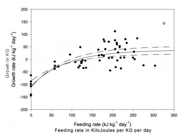 <p><strong>Fig. 4.67.</strong> Growth rates of young hammerhead sharks (S. lewini) level off even with increasing amounts of food.</p>
