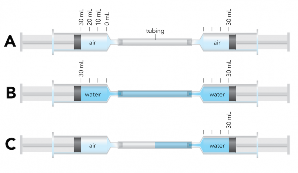 <p>Image by Byron Inouye</p><br />
<p><strong>Fig. 9.12.</strong> Testing how pressure changes affect the volume of (<strong>A</strong>) air, (<strong>B</strong>) water, and (<strong>C</strong>) an air-water system.</p><br />