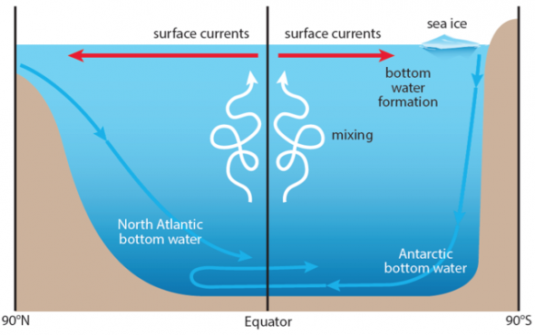<p><strong>SF Fig. 2.11.</strong> Diagram showing equatorial upwelling and mixing of cool bottom water with warm surface water. Warm surface water is returned to poles through wind-driven surface currents. This is a very simplified model of water circulation in the Atlantic ocean basin.</p>