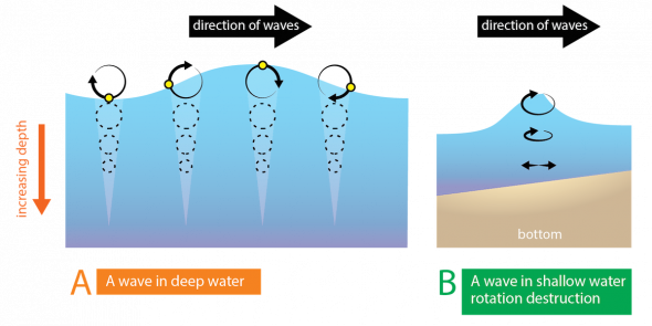 <p><strong>Fig. 4.18.</strong> (<strong>A</strong>) If a small buoy (black circle) was on the surface of the water, it would move in a circular motion, returning to its original location due to the orbital motion of waves in deep water. (<strong>B</strong>) As deep-water waves approach shore and become shallow-water waves, circular motion is distorted as interaction with the bottom occurs.</p><br />
