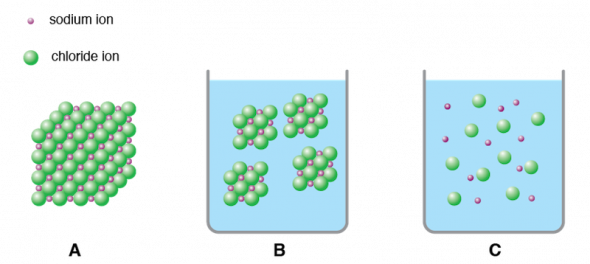 <p><strong>Fig 2.33.</strong> Dissolution and dissociation of sodium chloride. Sodium and chloride ions in (<strong>A</strong>) a large crystal, (<strong>B</strong>) dissolved in water as smaller crystals, and (<strong>C</strong>) dissociated in water.</p><br />
