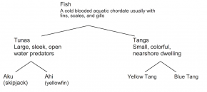 <p><strong>Fig. 1.12.</strong> Example classification scheme for fish</p>
