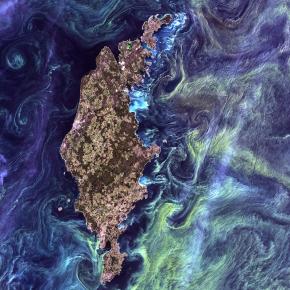 <p><strong>Fig. 2.3.</strong> (<strong>B</strong>) A bloom of microscopic phytoplankton near Gotland, Sweden as seen from space</p>
