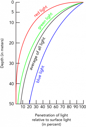 <p><strong>Fig. 2.44.</strong> The penetration of sunlight decreases rapidly with depth. Blue wavelengths of light penetrate the farthest, and red light penetrates the least.</p>