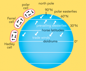 <p><strong>Fig. 3.10.</strong> Global atmospheric circulation patterns in the Northern Hemisphere</p>
