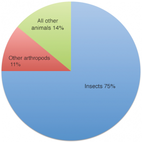 <p><strong>Fig. 3.73.</strong> Proportion of species in the kingdom Animalia, which are arthropods versus all other animals. The vast majority of arthropods are insects.</p>
