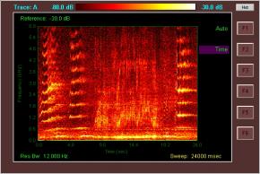 <p><strong>Fig. 6.34.</strong> Sound spectrogram illustrating the range of frequencies in a humpback whale song</p>
