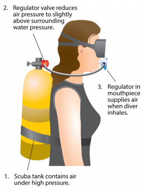 <p><strong>Fig. 9.24.</strong> A scuba regulator adjusts the pressure of air inhaled by a diver so that it is about equal to the pressure of the surrounding water.</p>
