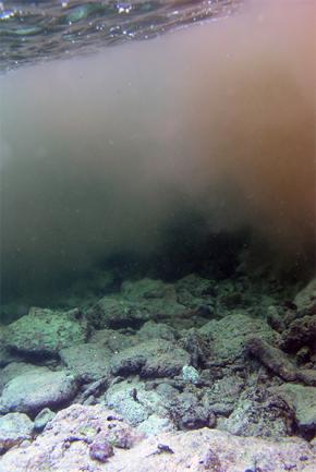 <p><strong>Fig. 2.1.</strong> Fresh water plume in stream near Alega, American Samoa. The fresh water layer is on top of the seawater layer. The fresh water layer is cloudy with sediment.</p>