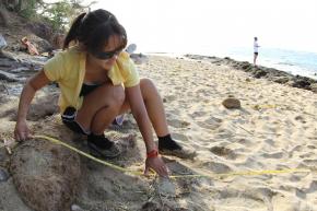 <p><strong>Fig. 5.23.</strong> A scientist studies the rock and sand substrate at an intertidal site.</p>
