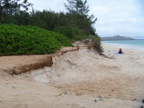 <p><strong>Fig. 5.28.</strong> Shoreline erosion along Kailua Beach, Hawai‘i</p>
