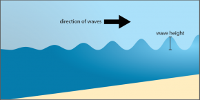 <p><strong>Fig. 5.3.</strong> Diagram of the profile of a wave approaching shore; notice that the wave height increases as the water gets shallower.</p>
