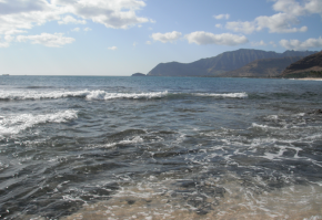 <p><strong>Fig. 6.1.</strong> (<strong>A</strong>) High tide at&nbsp;Ma‘ili Point on the island of O‘ahu, Hawai‘i</p>