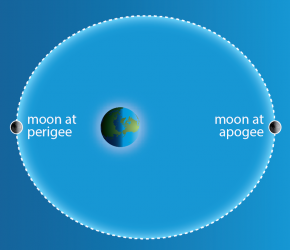 <p><strong>SF Fig. 6.12.</strong> (<strong>A</strong>) An exaggerated diagram showing the elliptical orbit of the moon around the earth.</p>

