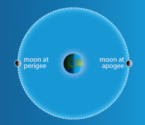 <p><strong>SF Fig. 6.12.</strong>&nbsp;(<strong>B</strong>) An accurate diagram showing the movement of the moon around the earth. Note that in both these diagrams the distance between the earth and moon is not to scale.</p>
