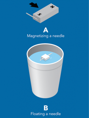 <p><strong>Fig. 8.12.</strong> (<strong>A</strong>) Magnetize a needle by rubbing its tip against a magnet. (<strong>B</strong>) Float the magnetized needle in a cup of water after sticking it through a piece of Styrofoam.</p>