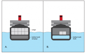 <p><strong>Fig. 8.44.</strong> A cross-sectional diagram of a ship (<strong>A</strong>) with cargo and (<strong>B</strong>) without cargo, but with added ballast.</p>

