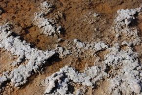 <p><strong>Fig. 2.35.</strong> (<strong>B</strong>) Salt crystals in Badwater Basin, the lowest point in North America in Death Valley National Park</p>
