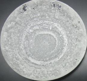 <p><strong>Fig. 2.5.</strong> (<strong>A</strong>) Rings of salt from seawater evaporated on a watch glass.</p>