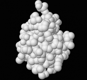 <p><strong>Fig. 2.18. </strong>(<strong>B</strong>) Molecular structure of the ocean pout’s antifreeze protein.</p>
