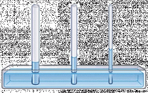 <p><strong>Fig. 3-16:</strong> Capillarity in different sized glass tubes.&nbsp;</p>
