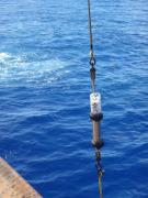 <p><strong>Fig. 6.33.</strong> Hydrophone being lowered into the ocean</p>
