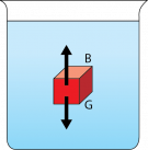 <p><strong>Fig. 2.5.</strong> Forces on a red block in water. The buoyant force is represented by the letter “B” and the upward pointing arrow. The gravitational force is represented by the letter “G” and the downward pointing arrow.</p>
