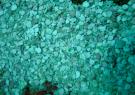 <p>Flake-shaped sediment produced by <em>Halimeda</em> green algae, Palmyra Atoll, central Pacific ocean basin</p>
