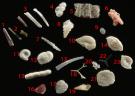 <p>Assorted biogenic sand grains from Majorca, Spain. Width of view is 10 mm (1-3 Sea urchin spines; 4, 8, 19 Gastropod; 5 Bivalve; 6, 10, 14, 15, 17, 21, 23 Foraminiferan; 7, 18, 20 Bryozoan; 9 Ostracoda; 11 Scaphopod; 16 Mollusk; 22 Sponge spicule).</p>
