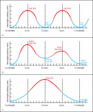 <p><strong>Fig. 6.16.</strong> Types of tidal cycles: (<strong>A</strong>) semidiurnal, (<strong>B</strong>) mixed, and (<strong>C</strong>) diurnal</p>