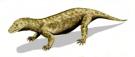 <p><strong>Fig. 7.13.</strong> (<strong>A</strong>) Artist sketch of the extinct species <em>Procynosuchus delaharpeae</em>, an early ancestor of modern mammals that lived during the late Paleozoic era.</p>
