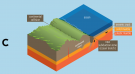 <p><strong>Fig. 7.24.</strong>&nbsp;(<strong>C</strong>) Oceanic crust continues sliding under the continental crust forming a new subduction zone and a new submarine trench. The two continental crusts begin to fuse.</p>
